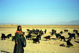 Tamegroute, Morocco
1998-11-28