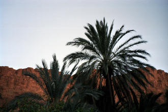 Todra Gorge, Morocco
1998-11-29