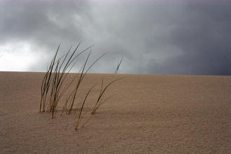 Henty Dunes, Tasmania
2002-10-23 Henty Dunes, Tasmania
2002-10-23