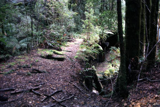 Montezuma Falls Walk, Tasmania
2002-10-24 Montezuma Falls Walk, Tasmania
2002-10-24