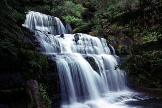 Liffey Falls, Tasmania
2002-10-31 Liffey Falls, Tasmania
2002-10-31